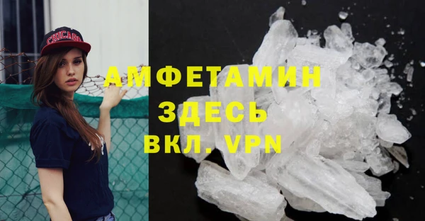 молекула духа Пересвет