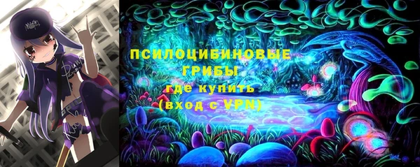 соль курить ск Переславль-Залесский