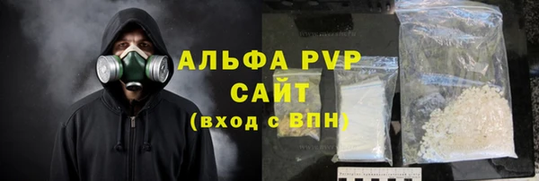 молекула духа Пересвет