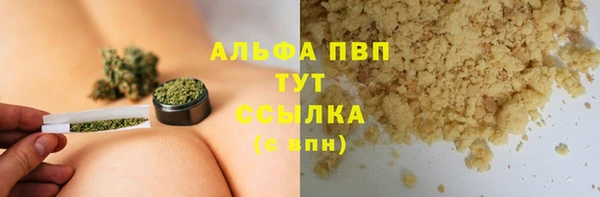 молекула духа Пересвет