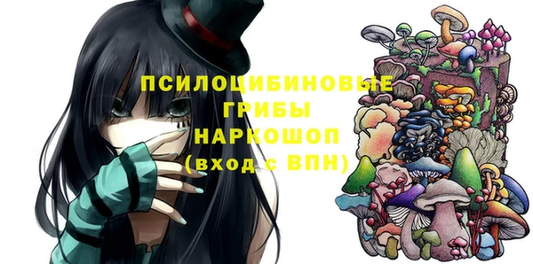 соль курить ск Переславль-Залесский