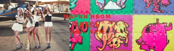 молекула духа Пересвет