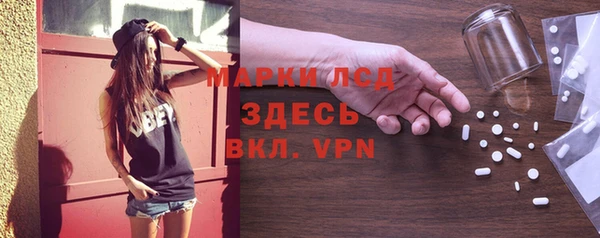 молекула духа Пересвет