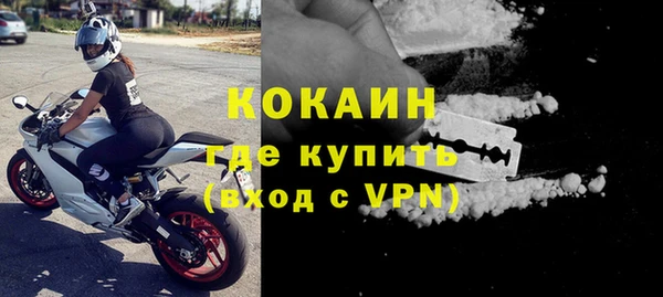 молекула духа Пересвет
