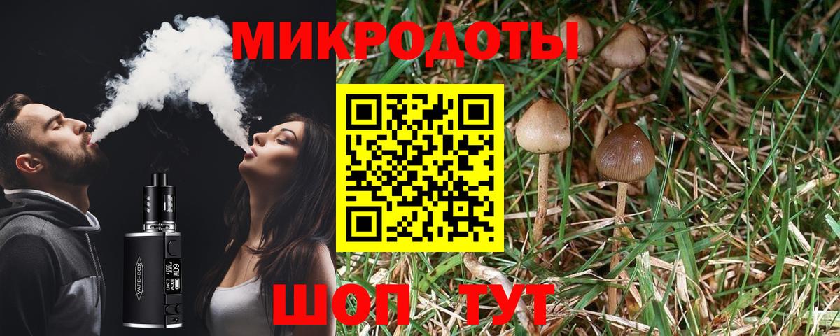 Галлюциногенные грибы ЛСД Гуково