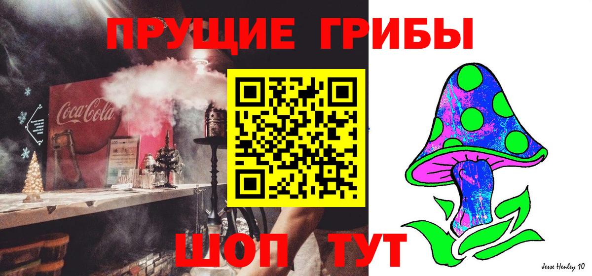 Галлюциногенные грибы GOLDEN TEACHER  Гуково  Галлюциногенные грибы Psilocybine cubensis 