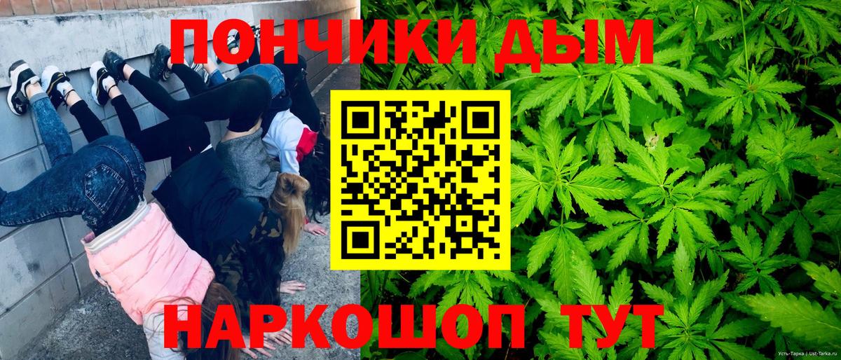 Бошки Шишки планчик  Гуково  Бошки марихуана сатива  Шишки марихуана White Widow 